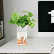 NIAIZEK Versatile Plastic Fish Tank for Betta Fish and Hydroponics, Assorted