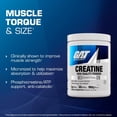thumbnail image 6 of GAT Sport Strength, Endurance Creatine Monohydrate Amino Acid Supplements Powder, Unflavored, for Men & Women, 30 Servings, 6 of 6