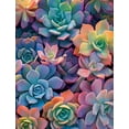 thumbnail image 1 of Succulents 500 Pieces Puzzle for Adults Educational Intellectual Jigsaw Puzzle Plants puzzles for adults Fun Game, 1 of 5