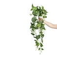 thumbnail image 4 of Mainstays 32" Artificial Silk Green Pothos Hanging Bouquet, 4 of 8