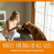 Mighty Paw Slow Feed Dog Bowl Insert, Interactive Puzzle Feeder for Fast Eaters (Orange)