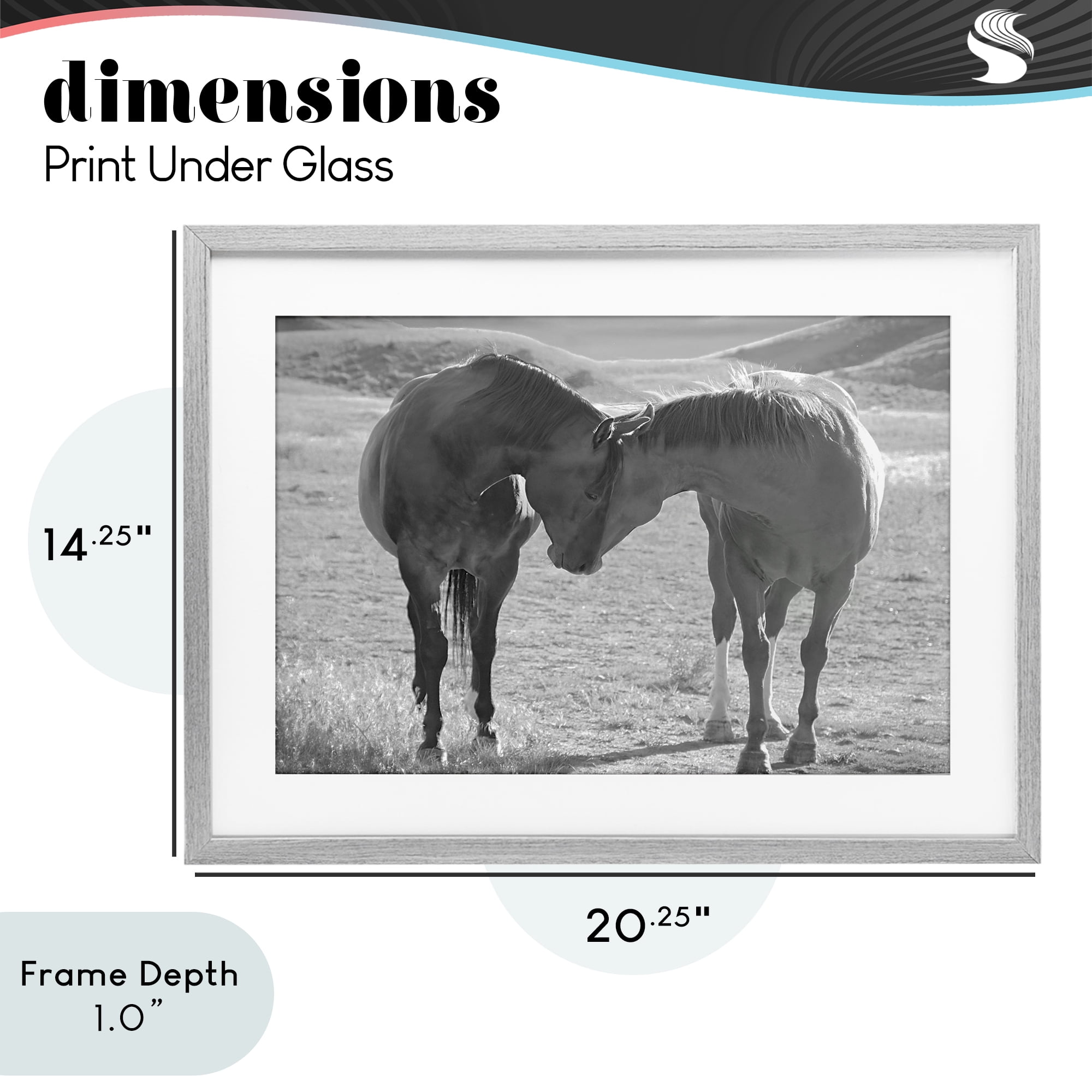 Stupell Industries Sweet Nothings Bond Between Horses Gray Framed Print Under Glass, design by Steve Toole