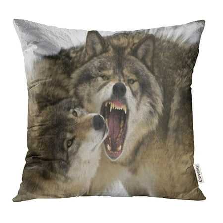 YWOTA Fight Bad Wolf Day Mean Scary Animals Carnivore Natural Timber Wolves Pillow Cases Cushion Cover 20x20 inch