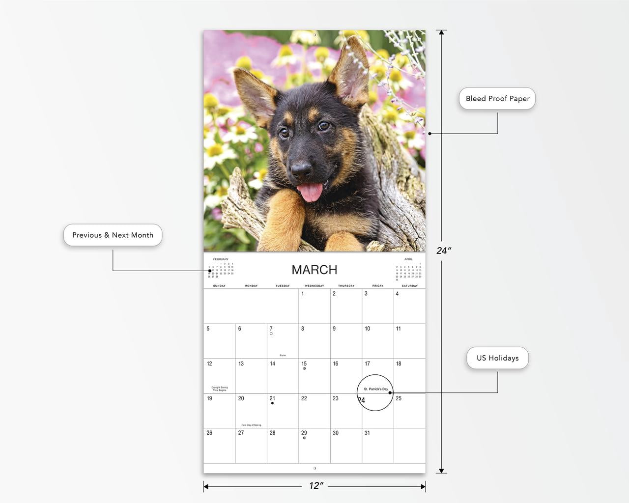 2023 - 12 Month Calendar-German Shepherd - 12x12 Hanging Wall Calendar by DaySpring
