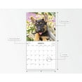 thumbnail image 2 of 2023 - 12 Month Calendar-German Shepherd - 12x12 Hanging Wall Calendar by DaySpring, 2 of 5