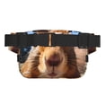 thumbnail image 3 of Bingfone Fanny Packs for Women Fashion Waist Packs Bag with Adjustable Strap Waterproof Everywhere Crossbody Belt Bag for Workout Running Travelling( Close-Up Curious Squirrel ), 3 of 9