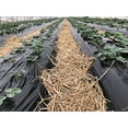 thumbnail image 1 of Agfabric Landscape Garden Film Embossed Plastic Mulch Strawberry Tomato Potato Weed Barrier Polyethylene Sheeting, 3.3x75ft, Black, 1 of 1