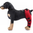 thumbnail image 4 of HSHDLDF Dog Double Hind Leg Brace Support Belt Dog Braces for Back Legs Super Supportive Dog Knee Brace for Torn Acl Hind Leg Help Dogs With Injuries Sprains Arthritis. Red-L, 4 of 7