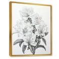 thumbnail image 2 of Designart "Monochrome Floral Zen" Rhododendron Floater Framed Canvas Wall Art, 2 of 5