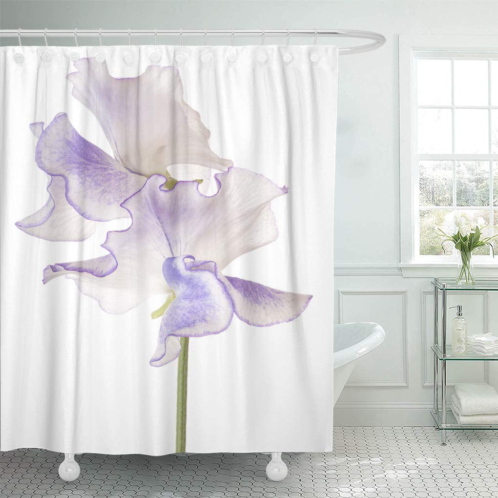 Bright Trees Shower Curtains Plum Bath Curtain Vibrant Nature Shower Decors Purple Bamboo Trees Shower Curtain Violet Bath Decor