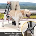 thumbnail image 2 of Canine Hind Leg Support Harness for Elderly, Injured & Post-Op Dogs – Y-Shaped Pressure-Dispersing Design with Adjustable Velcro/Buckles, Open-Crotch Fit, Reflective Strips, Breathable Mesh Fabric –, 2 of 7