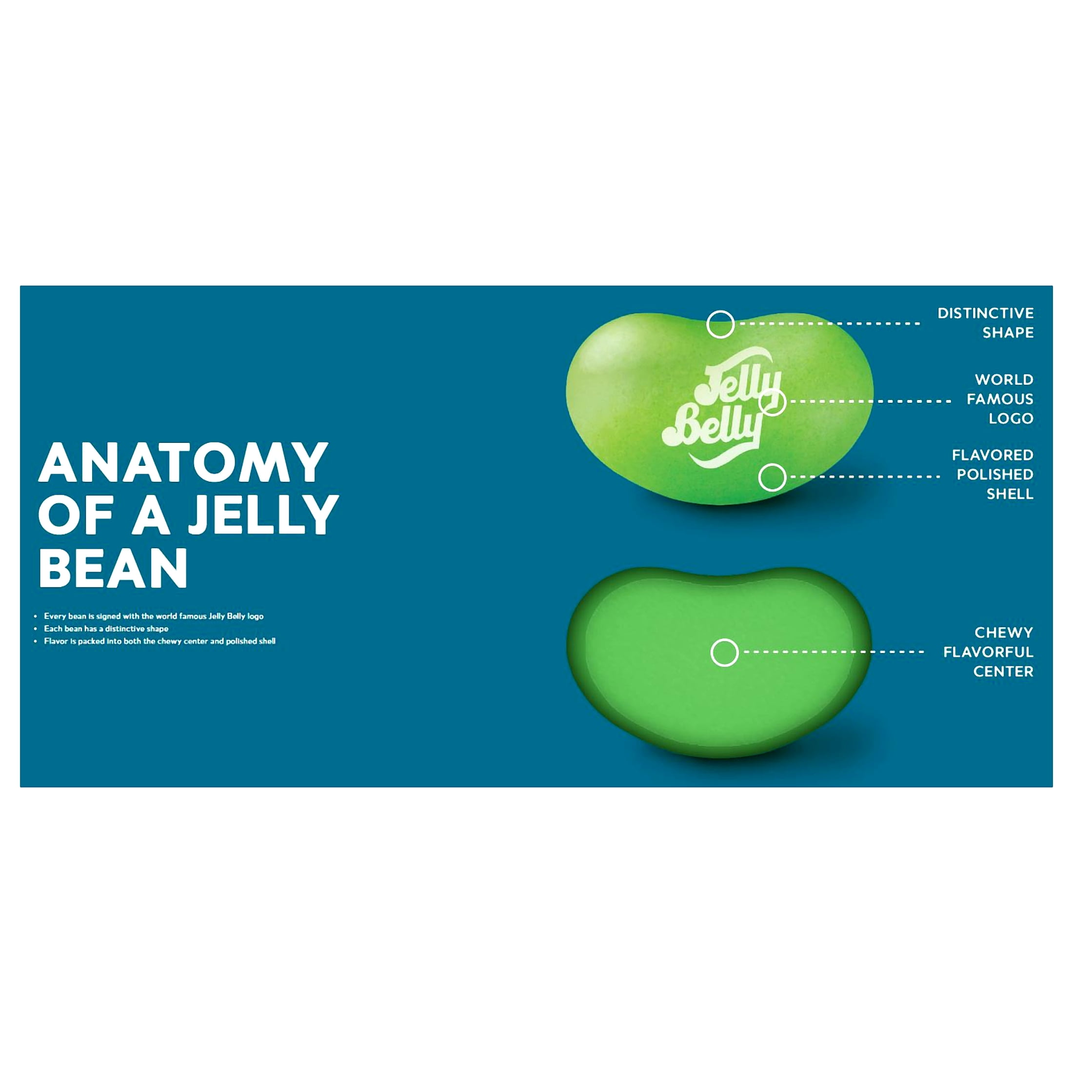 Jelly Belly, 49 Assorted Flavors Jelly Beans, 12 Oz