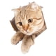 thumbnail image 5 of Pegatina para Inodoro de Gato de Dibujos Animados, Mural para Asiento de Inodoro, Pegatina Divertida para Tapa de Inodoro Impermeable, Pegatina Divert 21cmx23cm, 5 of 8