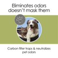 thumbnail image 2 of Hamilton Beach True Air Replacement Filter, for Pet Odors 04294-1 ea, 2 of 5