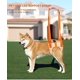 thumbnail image 3 of Arnés de asistencia naranja para perros (talla S: cintura 28-36 cm, circunferencia de la pierna 17 cm), arnés de soporte de malla para elevación de perros, arnés de equilibrio deportivo para rehabilit, 3 of 5
