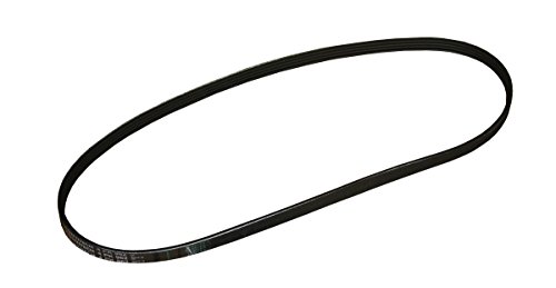 walmart serpentine belt