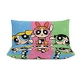 thumbnail image 3 of The Powerpuff Girls 3 Pieces Bedding Set 3D Printed Lightweight Bed Quilt Set Comforter Cover Set for Girls Kids Teens, 1 Quilt Cover 2 Pillowcases 79"x90", 3 of 8