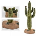 thumbnail image 2 of Lot de 4 Modèles de Cactus Simulés Modèle de Buisson de Baobab Plante Verte Cognitive pour Enfants, 2 of 10