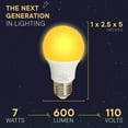 thumbnail image 4 of Harth Circadian Amber Sleep Shift Light Bulb with Melatonin Support, 4 of 8