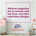 Little Remedies Decongestant Nose Drops for Children's Health, Ages 2