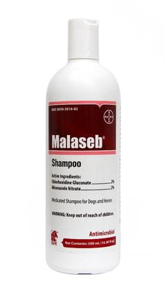 malaseb dog shampoo