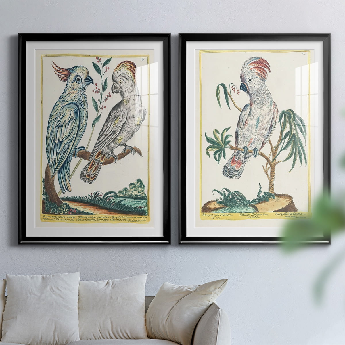 Wexford Home Pastel Birds I Premium Framed Print, 18.5" x 24.5" - Ready to Hang, Black (Set of 2)