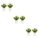 thumbnail image 4 of Centros de limón falsos Bearachild 2 piezas fáciles de limpiar amplia aplicación interior o exterior manzanas pequeñas, 4 of 6