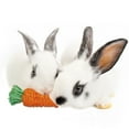 thumbnail image 5 of Exotic Nutrition Woven Grass Carrot Chew Toy, 5 of 7