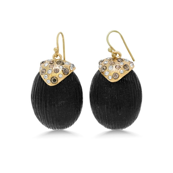 Gem Stone King Black Resin With Multi Color Pave Crystals Earrings for Women With Gold Plated Earwires