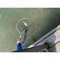 thumbnail image 2 of Plano Molding Frabill 3669 Teardrop Trout Net, 2 of 5