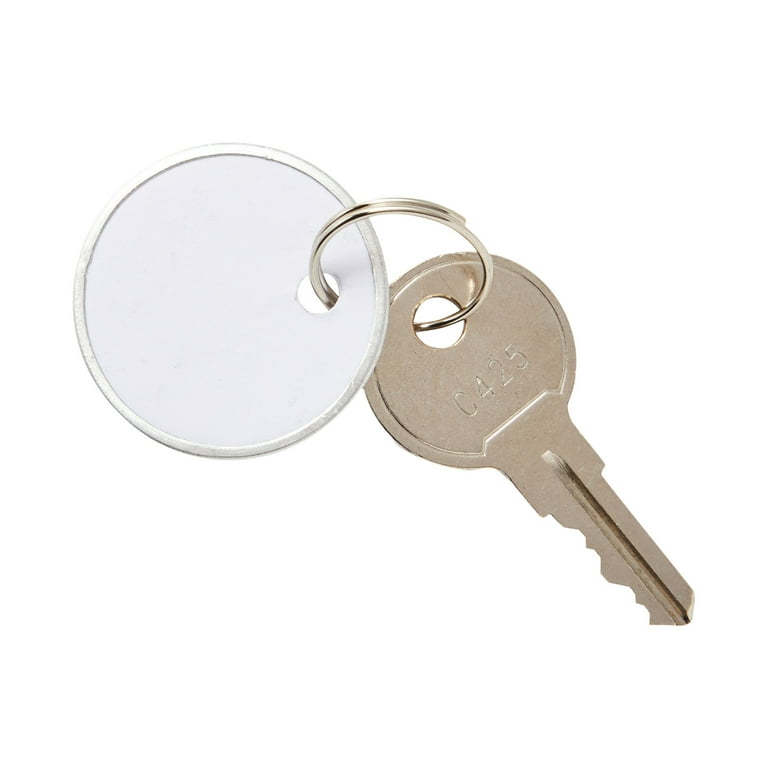 1InTheOffice Key Tags, Key Tags with Labels, Metal Tags with Split Ring, 100 Pack