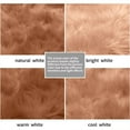thumbnail image 3 of Sanmadrola Area Rugs for Living Room Bed Room Rugs Faux Fur Rug Faux Sheepskin Indoor Shag Area Rug Coffee, 3 of 6