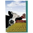 thumbnail image 2 of Tree-Free Greetings All Occasion Greeting Card 12 Pack, 4x6, Cow Photobomb (FS56364), 2 of 3