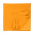 thumbnail image 1 of Atlantis Bandana Recyclé Goal-S, 1 of 1
