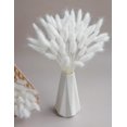 thumbnail image 6 of 120 Sticks Dried Bunny Tail, White Bunny Tail, Natural Bulk Dried Flowers for Diy Bohemian Wedding Rustic Party Decorations, Home Vase Decorations, Wreaths, Birthday Cake Decorations.(White), 6 of 11