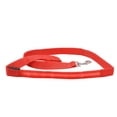 thumbnail image 4 of Luxtrada LED Dog Leash Light Up Dog Leash Micro USB Rechargeable Waterproof Nylon Webbing Glow Safety Standard Dog Leash for Dogs (Red), 4 of 6