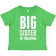 thumbnail image 3 of Inktastic Big Sister in Training Girls Toddler T-Shirt, 3 of 5