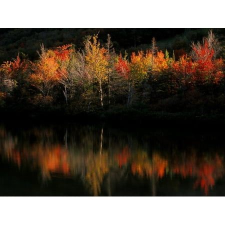 Fall Foliage with Reflections, New Hampshire, USA Print Wall Art By Joanne