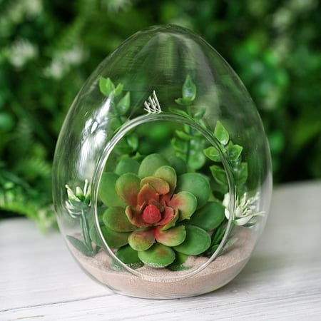 Dome Terrarium Kit - Efavormart 6 pcs EGGcellent Surprise Glass Terrarium / Decorative Clear Glass Globe