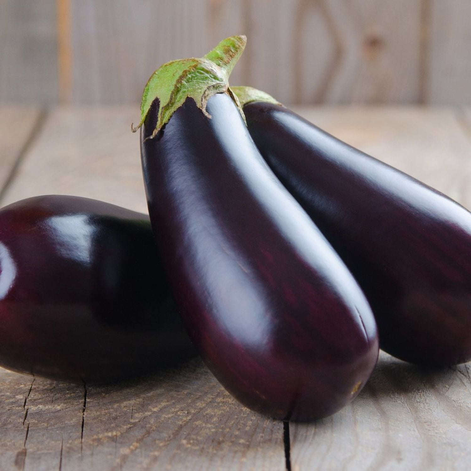 Proven Winners 4" Eggplant Live Plant in 4.25" Pot (4 Count)