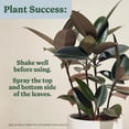 thumbnail image 6 of Miracle-Gro Plant Care Leaf Protect and Shine, 4-in-1 Pest Control Spray, 8 fl. oz., 6 of 10