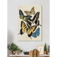 thumbnail image 2 of Butterfly Collage Wrapped Canvas -Victoria Barnes Designs,, 2 of 3