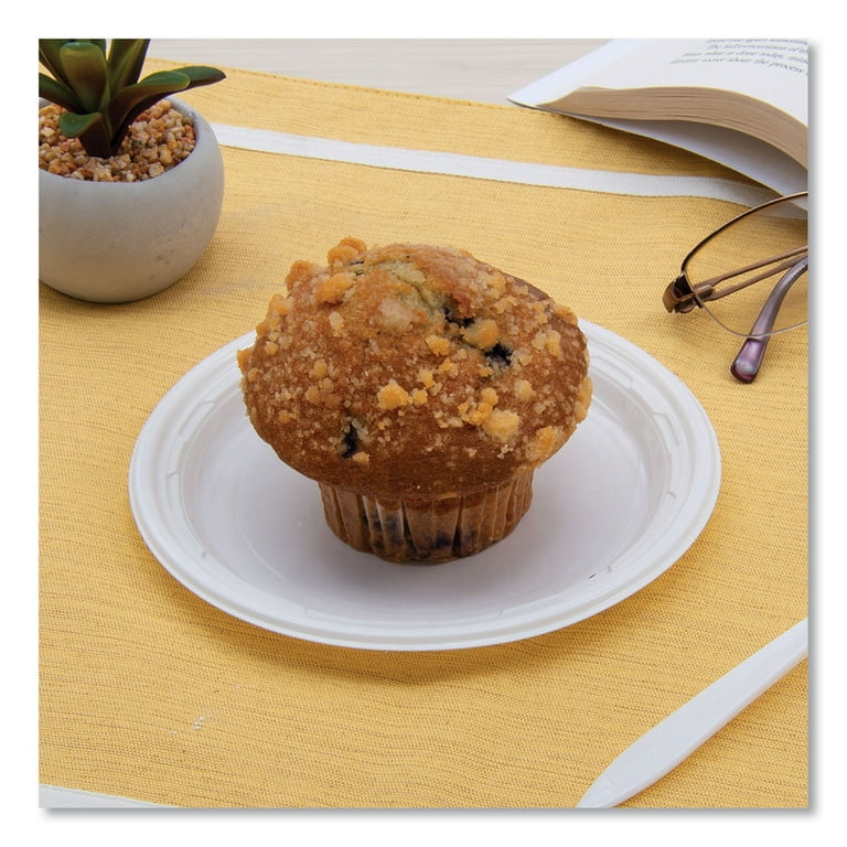 Famous Service Plastic Dinnerware, Plate, 6 Famous Service Plastic Dinnerware, Plate, 6