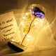 thumbnail image 3 of Lámpara Goldleaf Rose Dome Glass LED Light Día de San Valentín Regalo de Navidad (Azul) Tmvgtek Para estrenar, 3 of 9