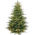 thumbnail image 1 of Holiday Stuff 5Ft Pre-lit Rocky Mountain Fir Wide Artificial Christmas Tree (5ft Pre-lit), 1 of 7