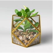 5" x 4" Artificial Succulent Plant with Brass Terrarium - Opalhouse