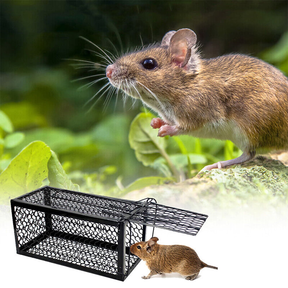 Kensizer 2 Pack Humane Live Animal Cage Trap That Work for Rat