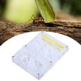 thumbnail image 3 of Hormiguero 3D transparente de acrílico, sistema de alimentación para insectos y caja de hormigas., 3 of 12