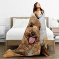 thumbnail image 3 of Personalised Blanket, Customised Photo Blankets, Personalised Flannel Blankets, Upload Photo as a Gift for Your Family Friend, Suitable for All Kinds of Anniversaries, 1 Photo, 3 of 6