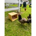 thumbnail image 4 of Zylina  Best Rest Single Nesting Box - N/A - 12x13x13, 4 of 7